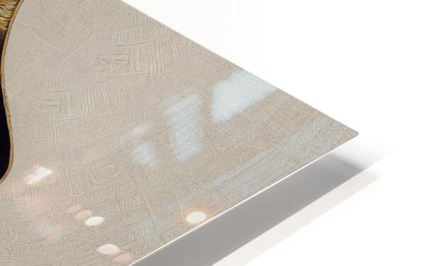 The 3 Graces • AGLAEA HD Sublimation Metal print